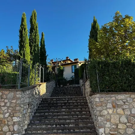 Cetonahome Cetona