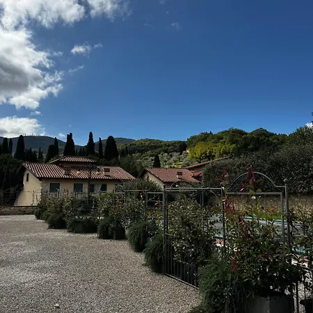 Cetonahome